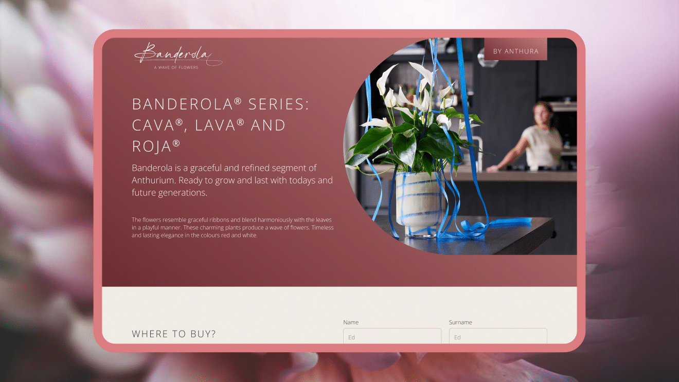 Website beheer en onderhoud